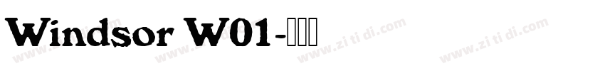 Windsor W01字体转换